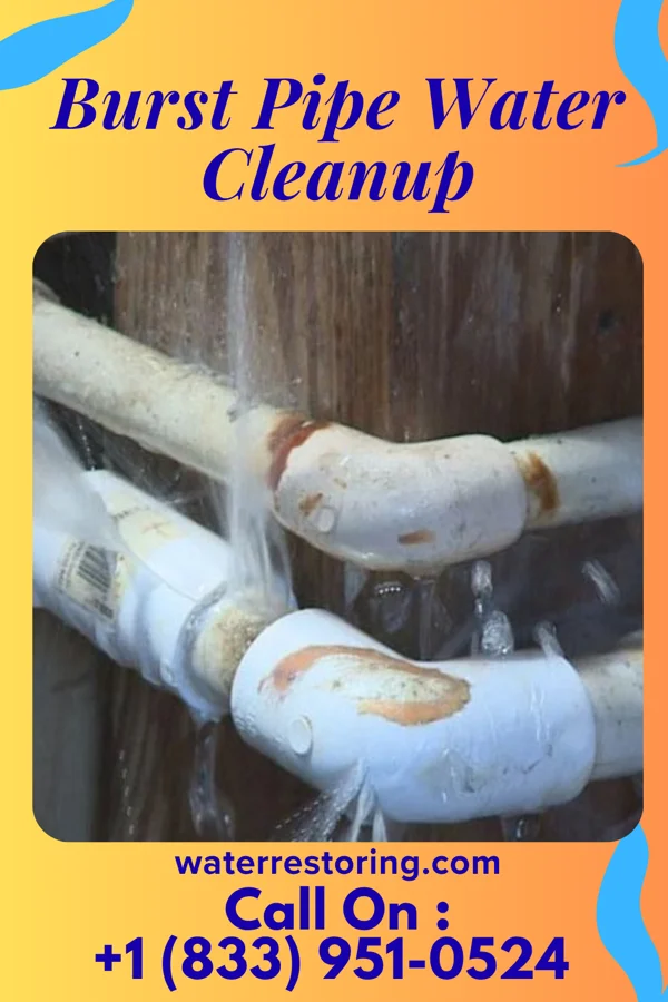 Burst Pipe Water Cleanup in Pleasant Valley, MO