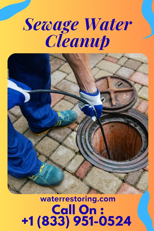 Sewage Water Cleanup in Pleasant Valley, MO
