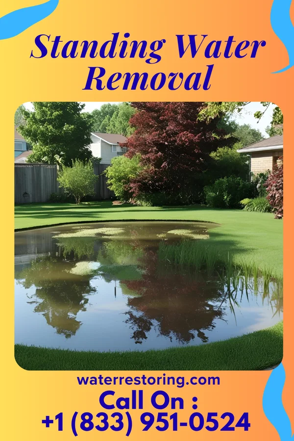 Standing Water Removal in Pleasant Valley, MO